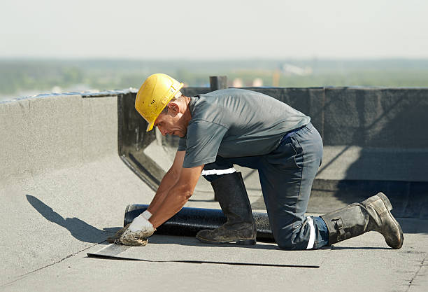 Best DIY Insulation Kits and Guidance in Bowling Green, VA