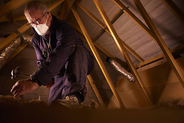 Best Specialized Insulation Services in Bowling Green, VA
